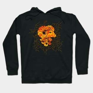 Aries Zodiac Sign Fire element Hoodie